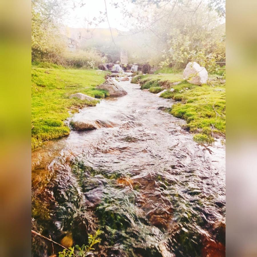 El Eden De Javier Pensionat Robledillo Exteriör bild